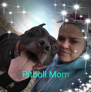 Meet your Posher, Sasha